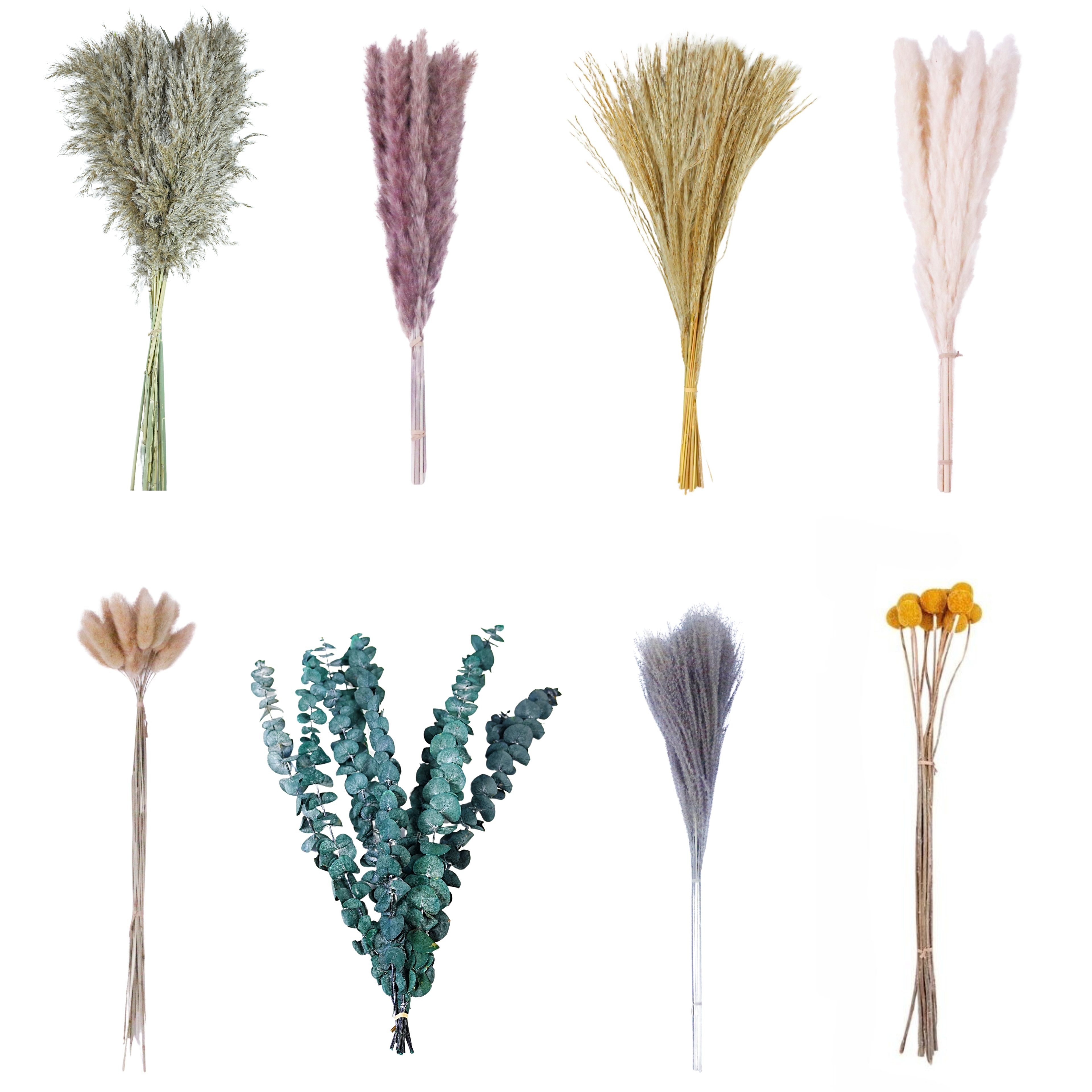 2.Bunny Tail natural Pampas Grass Mix Bouquet boho Home Decor Dried Flowers Bouquet Dried Pampas Grass
