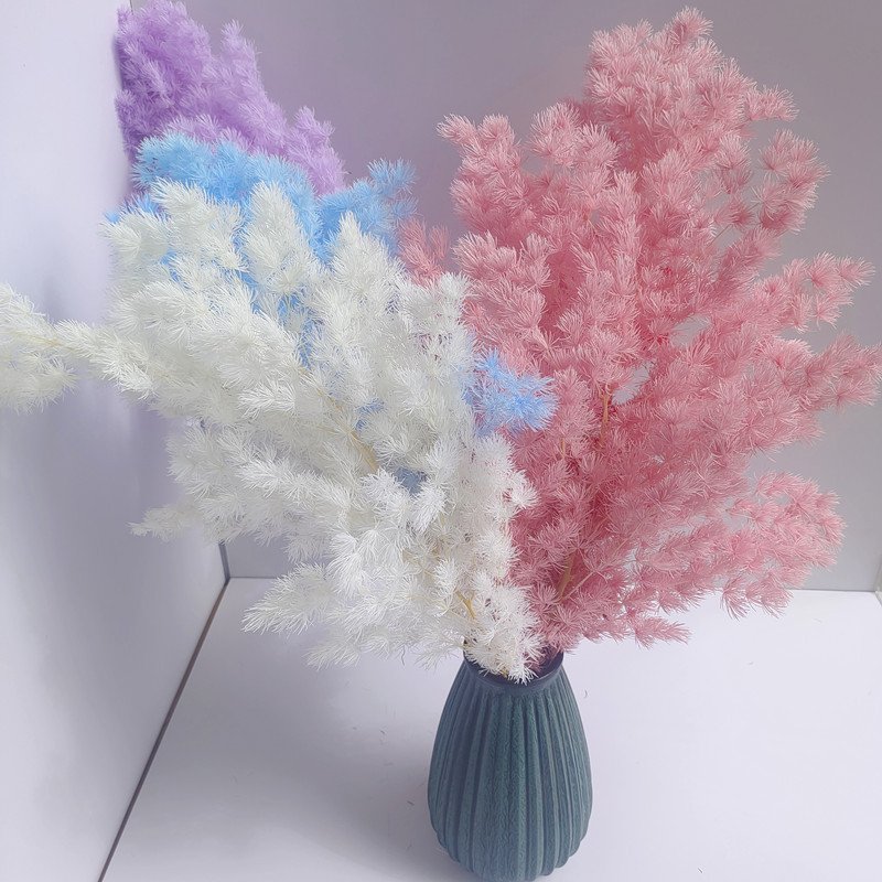 Factory Dried Flower Penglai Pine Preserved Asparagus Myrioeladus Ming Ferns for Wedding Decoration