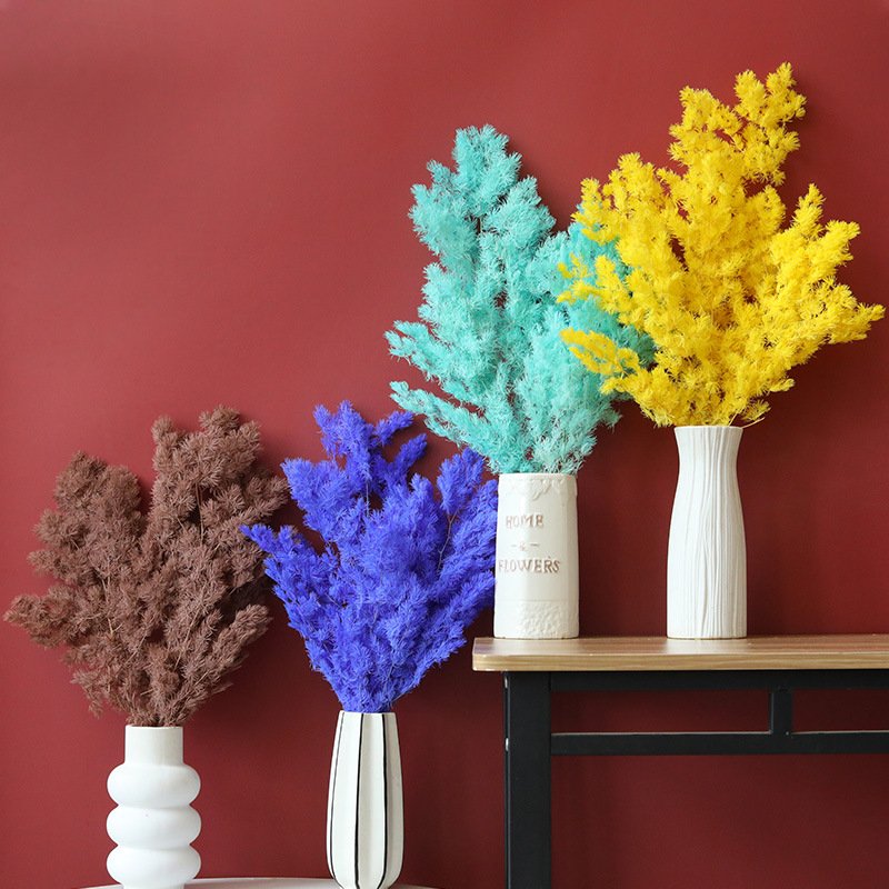 Factory Dried Flower Penglai Pine Preserved Asparagus Myrioeladus Ming Ferns for Wedding Decoration