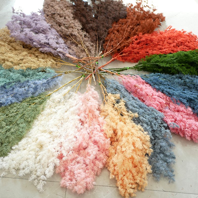 Factory Dried Flower Penglai Pine Preserved Asparagus Myrioeladus Ming Ferns for Wedding Decoration