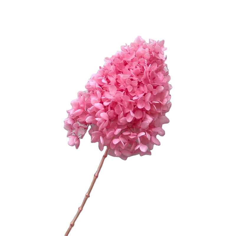 new year 2025 decorations dried decorative flowers baby pink tower shape hydrangea preserved dried hydrangea cone hydrangeas