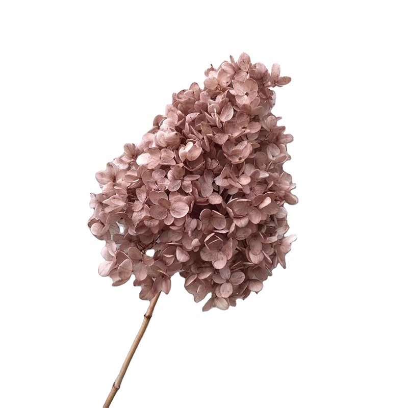 new year 2025 decorations dried decorative flowers baby pink tower shape hydrangea preserved dried hydrangea cone hydrangeas