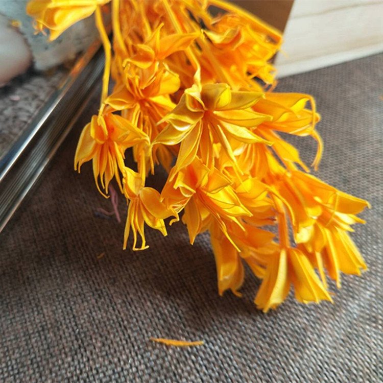 China factory Natural Everlasting Dried Flowers Star anise flower Octagon flower