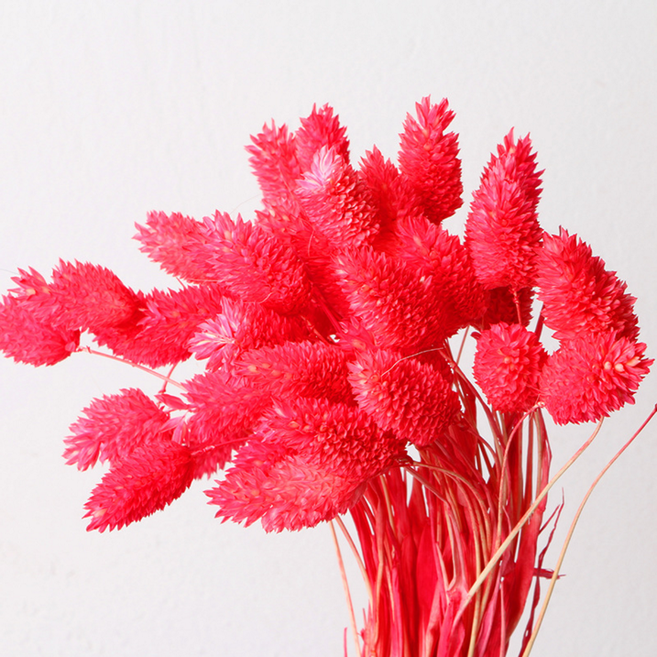 Hot Sale Factory Dried Flower Jewelry Grass Gem Grass Preserved Flower Grass Jewelries for Arrangement