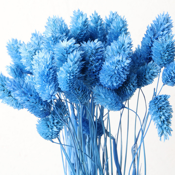 Hot Sale Factory Dried Flower Jewelry Grass Gem Grass Preserved Flower Grass Jewelries for Arrangement