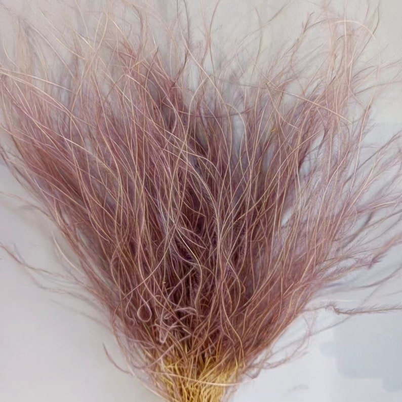 Feather Grasses for Home and Wedding Decor DIY Floral Arrangements Vase Decor Dried Flowers for Christmas