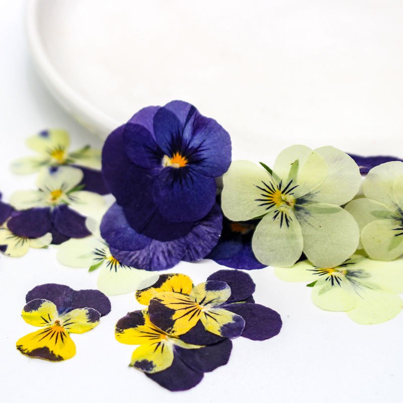 DIY Supplies Real Color Mix Dried Pressed Pansies Flowers for Crafts Resin Jewelry Candle