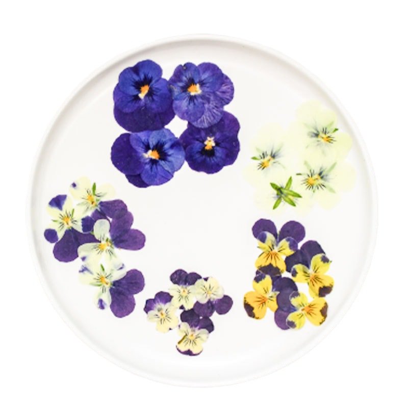 DIY Supplies Real Color Mix Dried Pressed Pansies Flowers for Crafts Resin Jewelry Candle