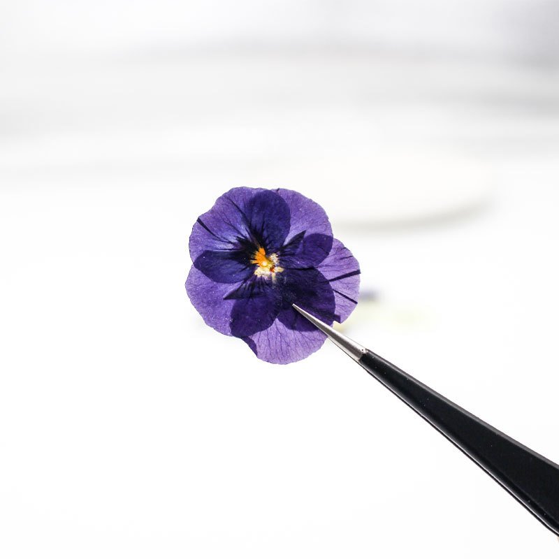 DIY Supplies Real Color Mix Dried Pressed Pansies Flowers for Crafts Resin Jewelry Candle
