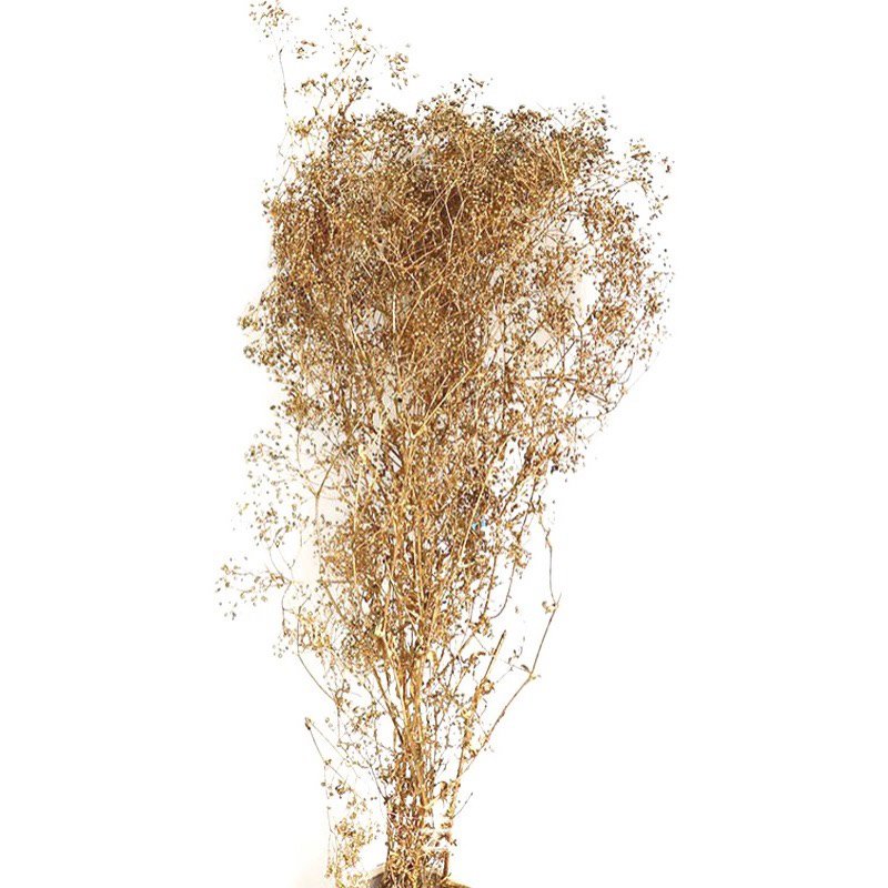Dried Flowers handcraft Flower For Valentine's Day Gift Mini Flower Bouquet Colorful Luxury Mini Natural Real Touch Floral Stem