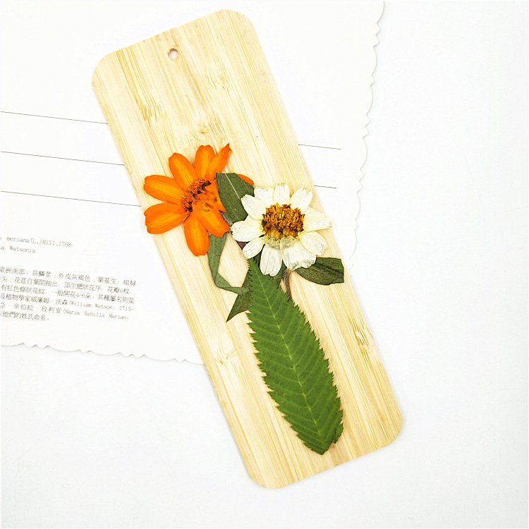 Best Price Dried Leaves Snow Willow Leaf Dried Original Green Bouquet For Home