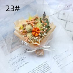 23#