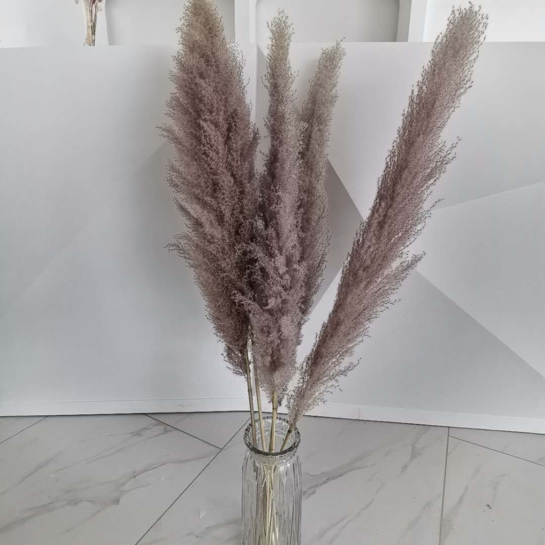 Wholesale 120cm Grey Pampas grass Big Pampas Grass Dried Pampas Grass For Floral Arrangement