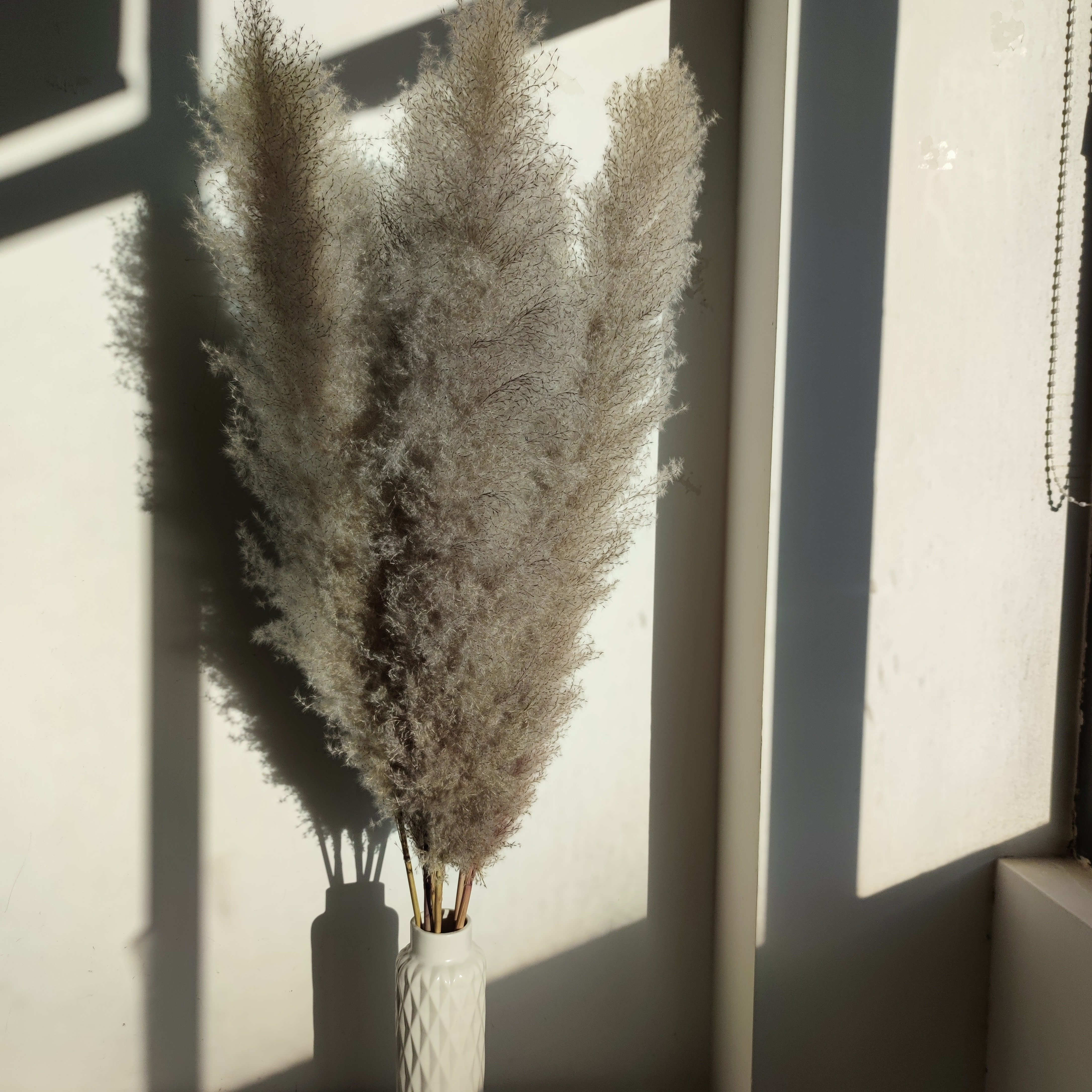 Wholesale 120cm Grey Pampas grass Big Pampas Grass Dried Pampas Grass For Floral Arrangement