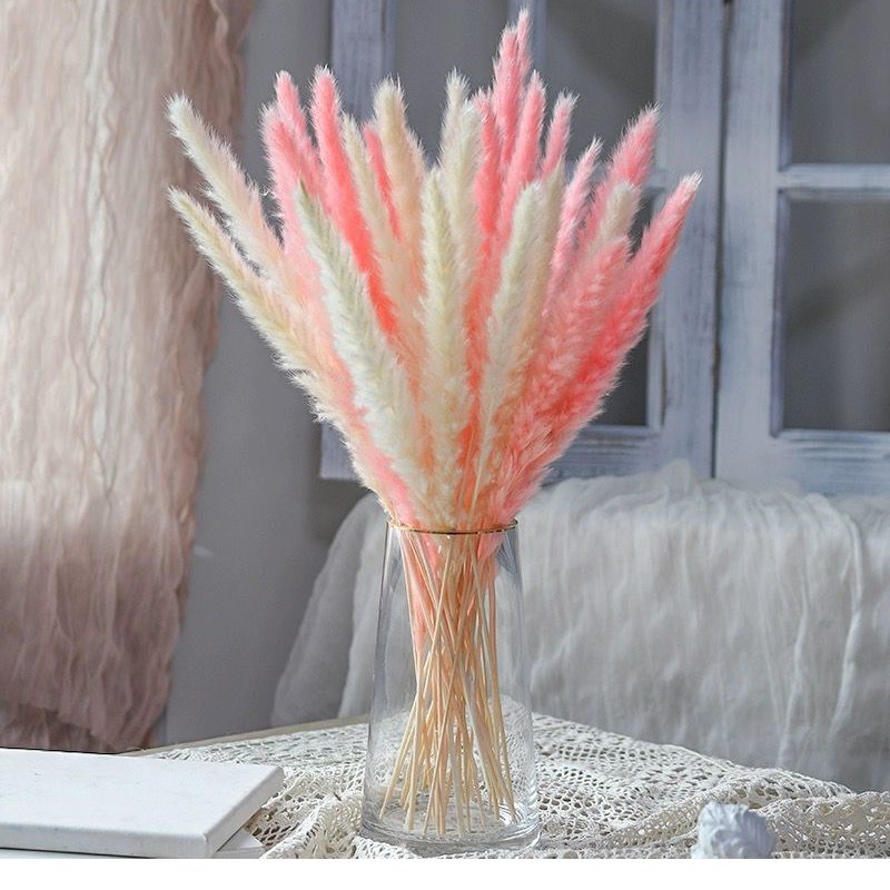 Wholesales Dried pampas Dried decorative pampas grass Pampas grass for wedding decoration or home decoration