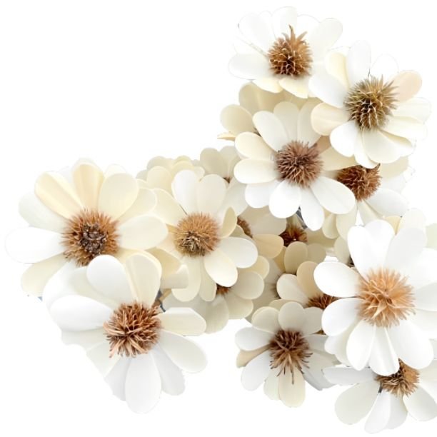 High Quality Wholesale Natural Palm Sunny Bleach Flower for DIY, Events Decor & Other Decor, Bouquets & Floral Arrangements