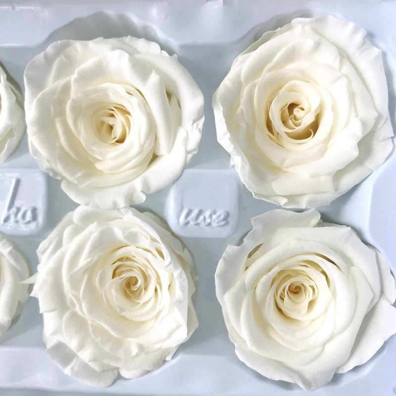 Preserved Rose Floral Arrangements Wedding Decor 4-5cm Real Natural Eternal Preserved Flower Rose Head Box Preserved Roses