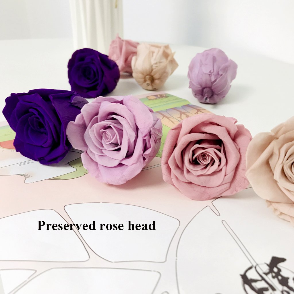 Preserved Rose Floral Arrangements Wedding Decor 4-5cm Real Natural Eternal Preserved Flower Rose Head Box Preserved Roses