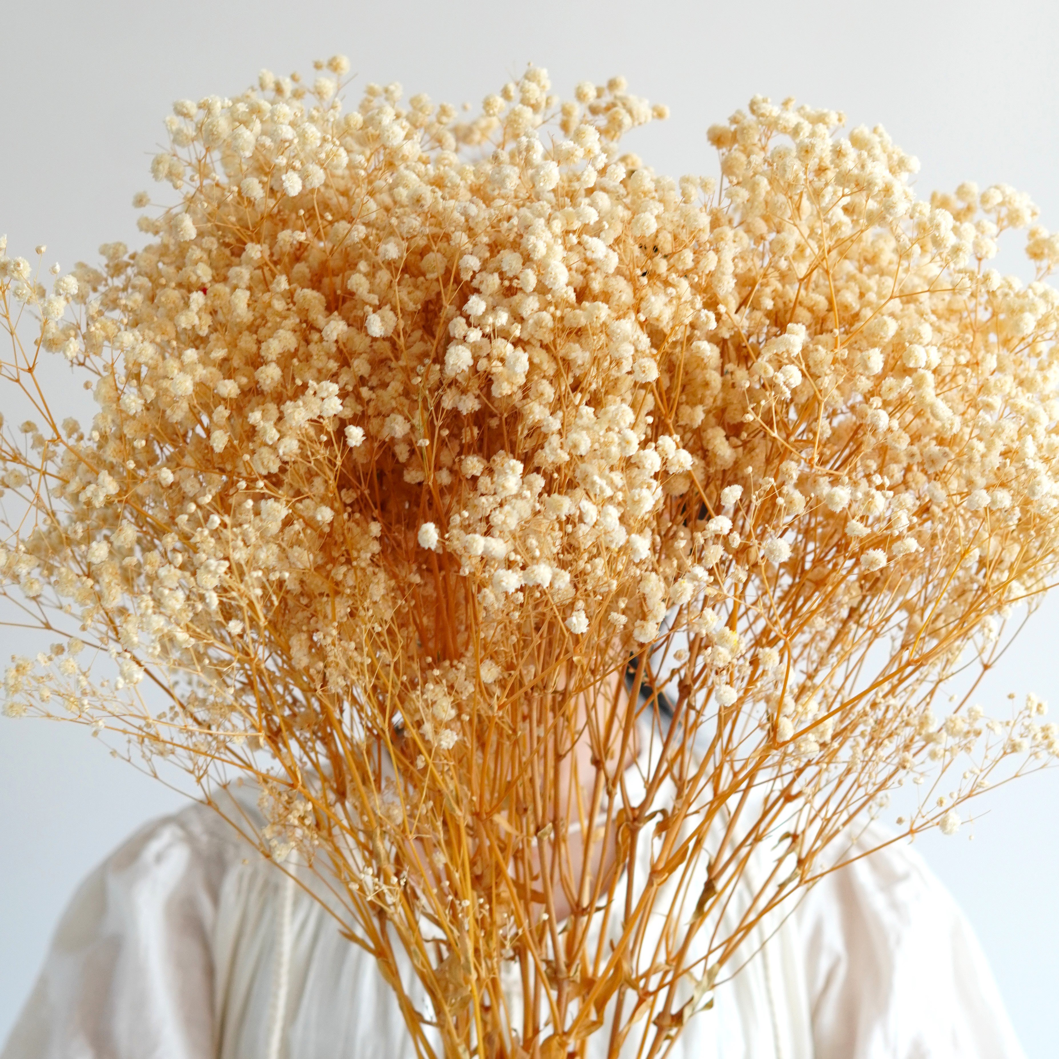 Preserved Natural BABY BREATHS Gypsophila Flower Stems | Dried Flowers | DIY Wedding Bouquet Boho Decor