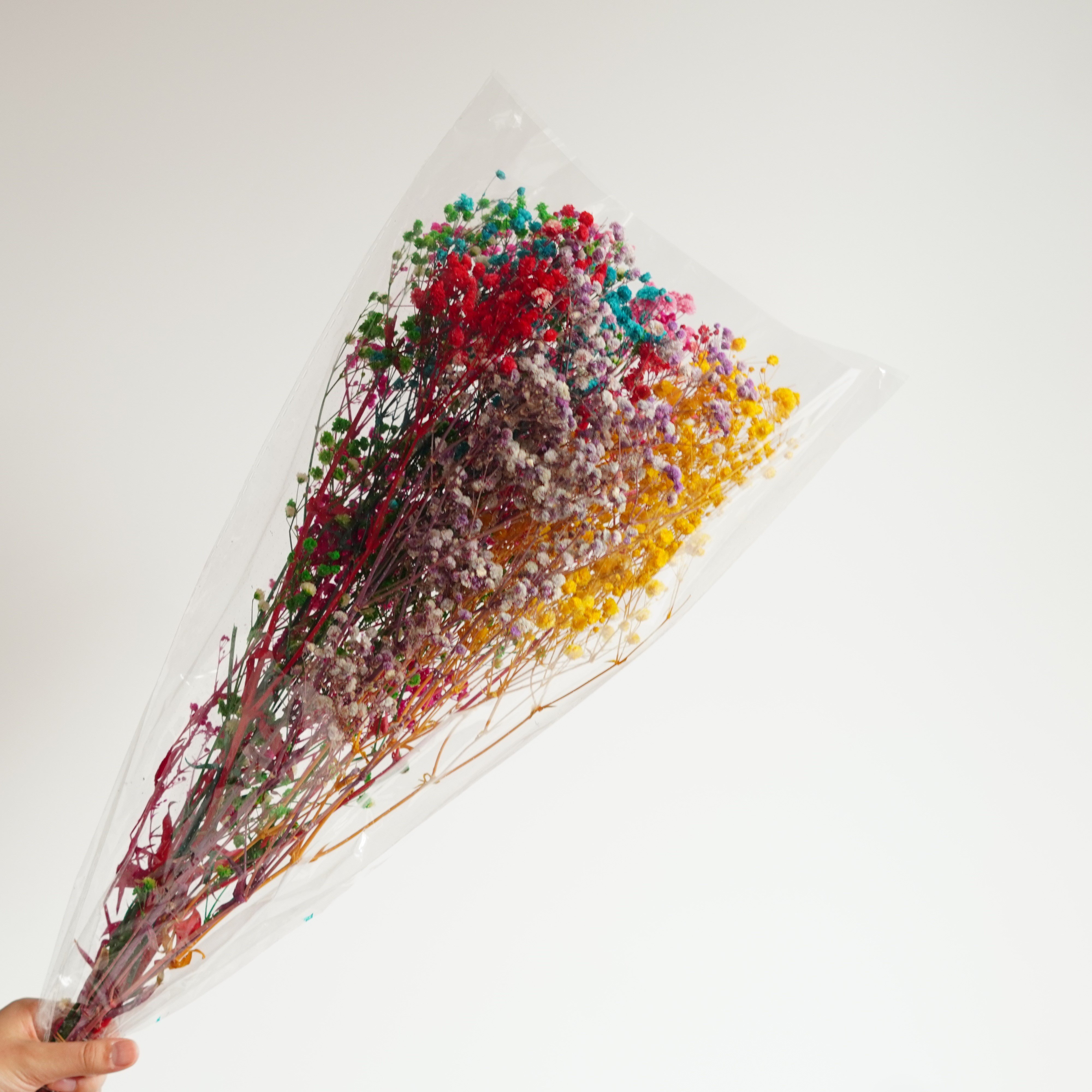Preserved Natural BABY BREATHS Gypsophila Flower Stems | Dried Flowers | DIY Wedding Bouquet Boho Decor
