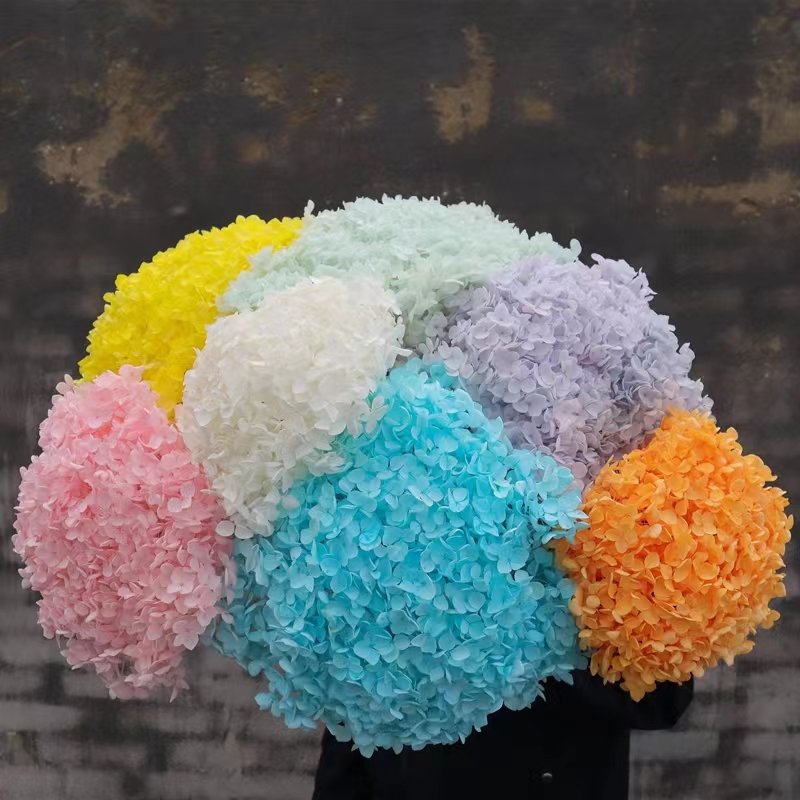 2023 New Decorative Gifts Dried Flowers, Wholesale Preserved Hydrangea with Stem flower for Weddings