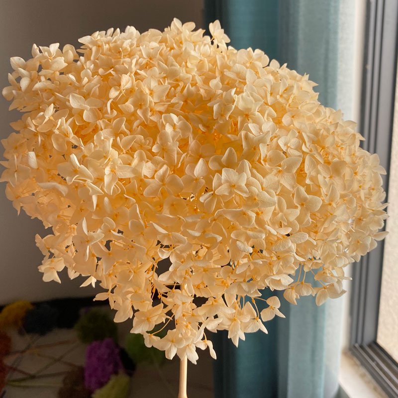 2023 New Decorative Gifts Dried Flowers, Wholesale Preserved Hydrangea with Stem flower for Weddings