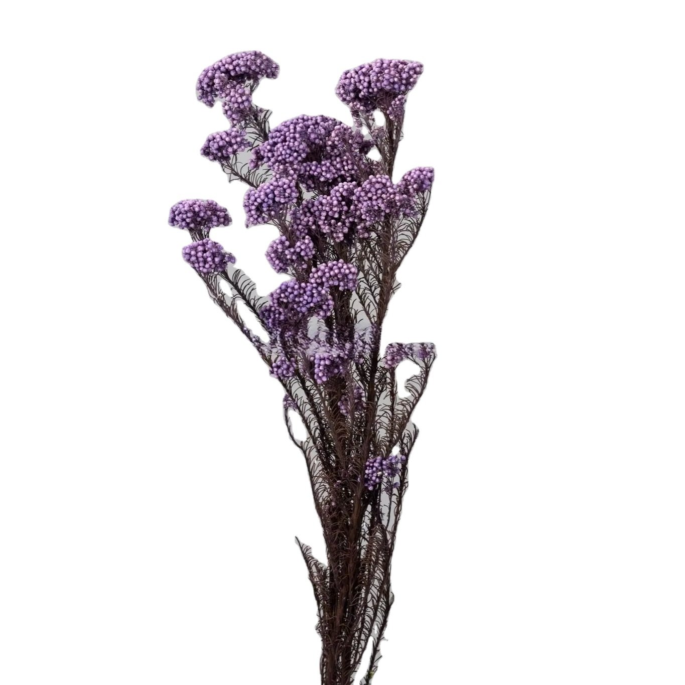 High-quality simulation of dried flowers for floral decoration bouquet flower arrangement wedding arrangement decoration