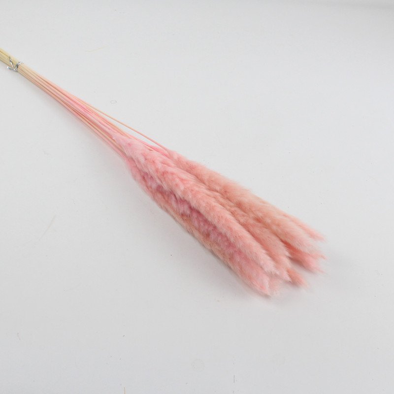 Best seller in season dried flowers dried small Pampas grass for Valentine's Day