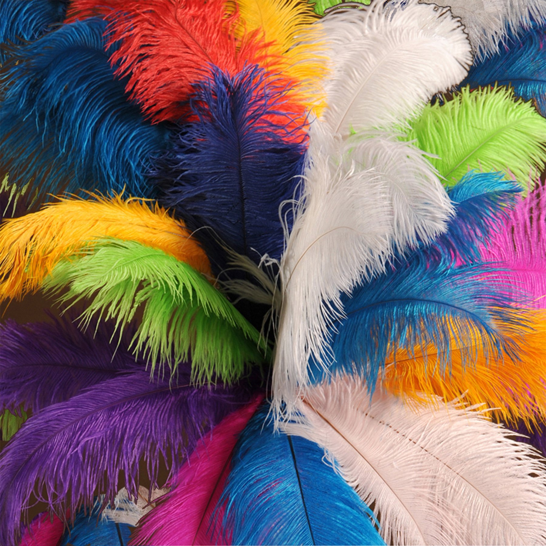 Factory Best-selling Handcraft 100% Feather Fringe Ostrich Boa Feather for Wedding Decoration & Supplies Ostrich Feather