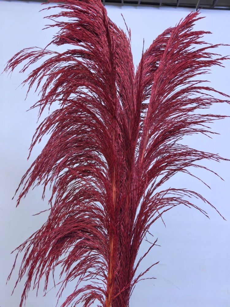 Wholesale dried large Pampas Grass Flower Beautiful Fresh Style Wedding Party Home Decoration with No shedding Feathers
