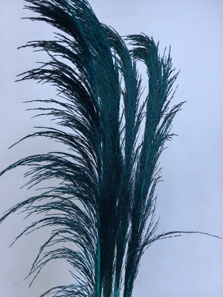 Wholesale dried large Pampas Grass Flower Beautiful Fresh Style Wedding Party Home Decoration with No shedding Feathers