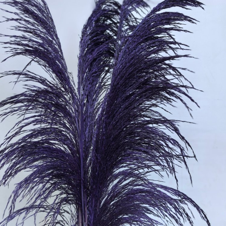 Wholesale dried large Pampas Grass Flower Beautiful Fresh Style Wedding Party Home Decoration with No shedding Feathers