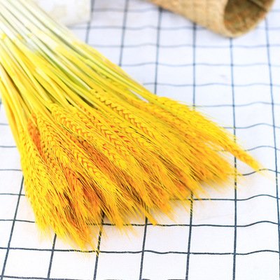 100Pcs/bag Real Wheat Ear Flower Natural Dried Flowers for Wedding Party Decoration DIY Craft Scrapbook Home Decor Wheat Bouquet