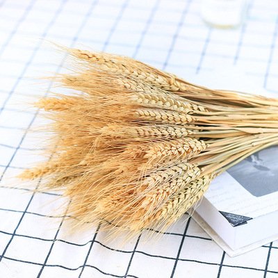 100Pcs/bag Real Wheat Ear Flower Natural Dried Flowers for Wedding Party Decoration DIY Craft Scrapbook Home Decor Wheat Bouquet