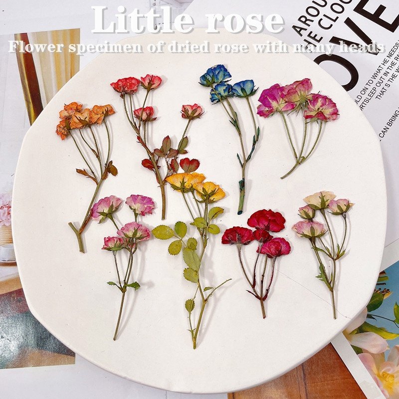MNR1929 dried small rose flowers for DIY phone case