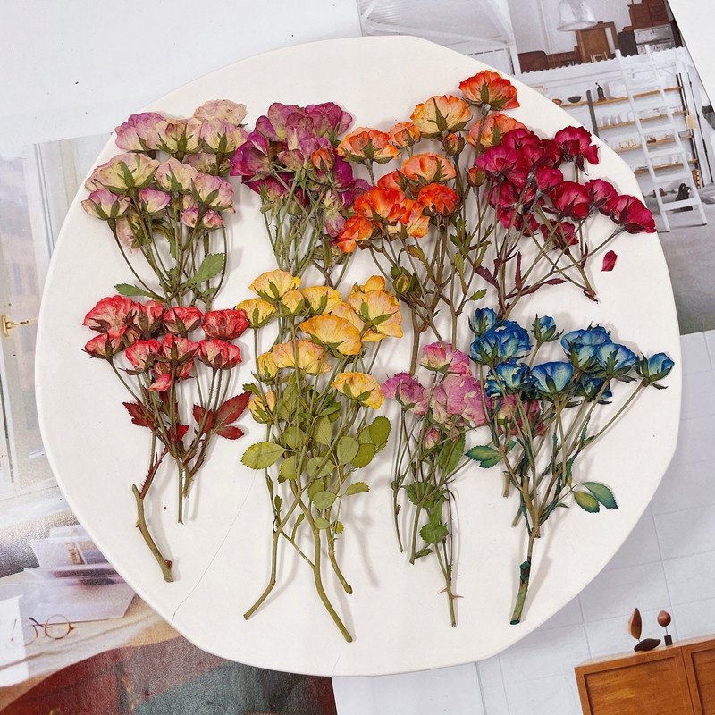 MNR1929 dried small rose flowers for DIY phone case