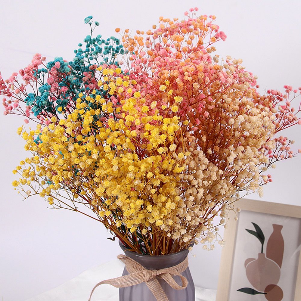 UKIQUEEN Gypsophila Bouquet Preserved Babys Breath Flowers White Color Dried Flowers Babys Breathe for Wedding and Home Decor