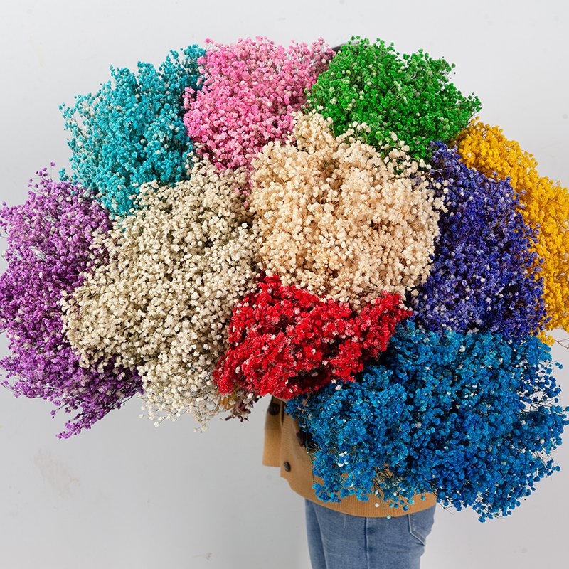 UKIQUEEN Gypsophila Bouquet Preserved Babys Breath Flowers White Color Dried Flowers Babys Breathe for Wedding and Home Decor