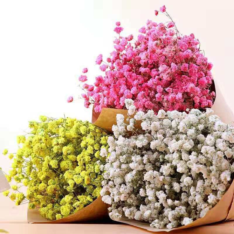 UKIQUEEN Gypsophila Bouquet Preserved Babys Breath Flowers White Color Dried Flowers Babys Breathe for Wedding and Home Decor