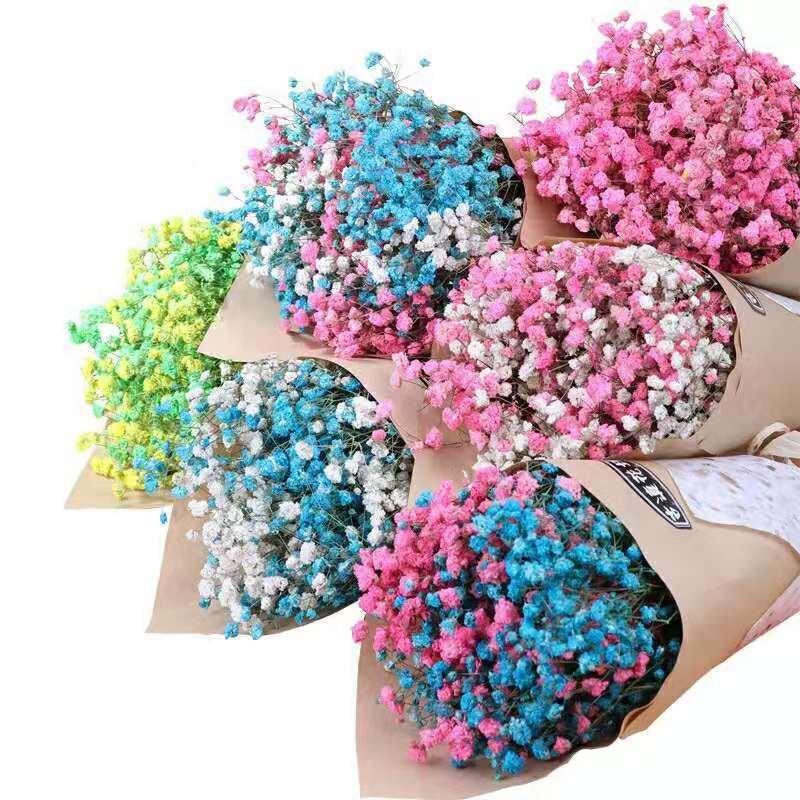 UKIQUEEN Gypsophila Bouquet Preserved Babys Breath Flowers White Color Dried Flowers Babys Breathe for Wedding and Home Decor