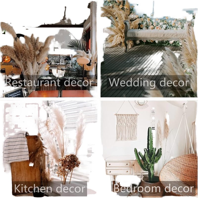 Hot selling Natural Color Dried Flower Pampas Grass for boho farm house party home wedding home decorating decor wedding party
