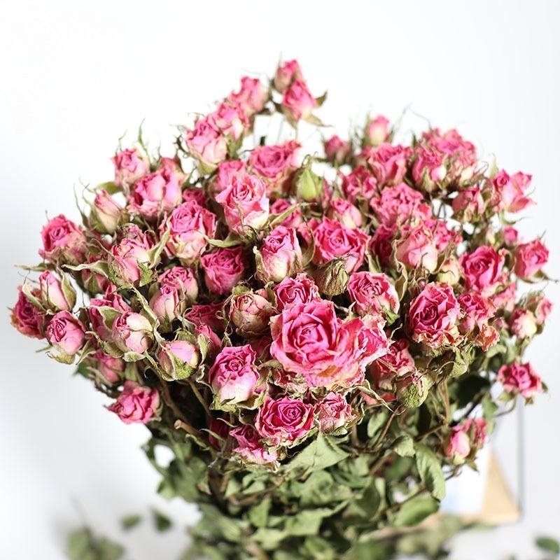 2023 new natural dried flowers dried rose for home decor