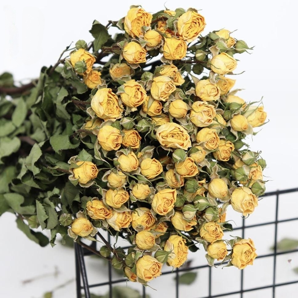 2023 new natural dried flowers dried rose for home decor