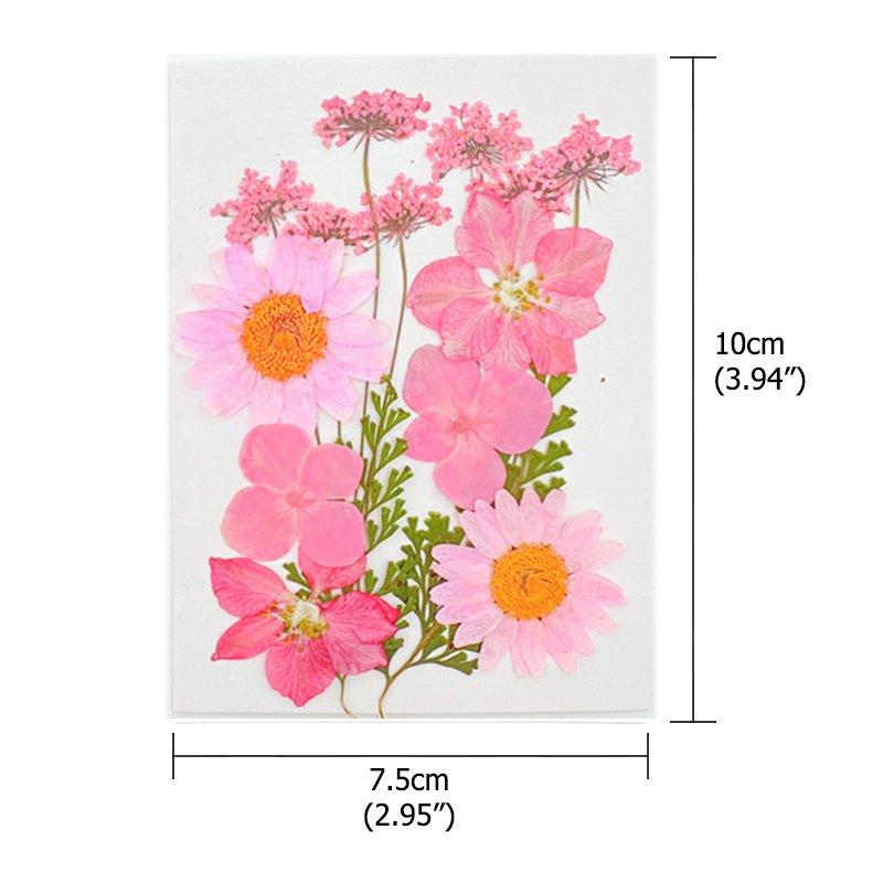 Wholesale Dry Pressed Flowers Makeup Photo Nail DIY Decoration Real Dry Pressed Flower Natural Bulk Mixed Dried Pressed Flowers