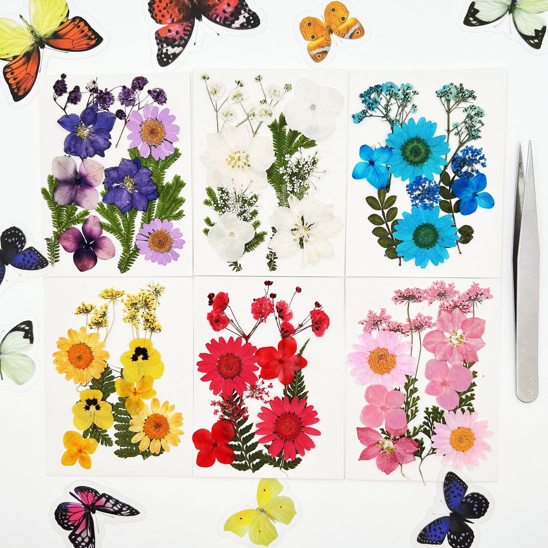 Wholesale Dry Pressed Flowers Makeup Photo Nail DIY Decoration Real Dry Pressed Flower Natural Bulk Mixed Dried Pressed Flowers