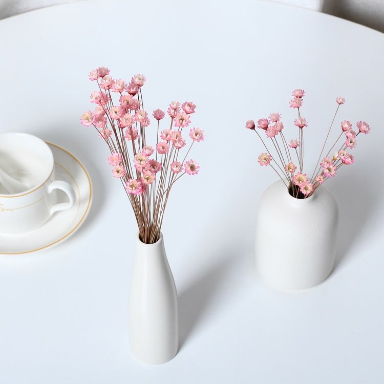 yunnan wholesale cheap small beautiful dried daisy flowers plants mini tiny natural dry Brazilian star flower for crafts