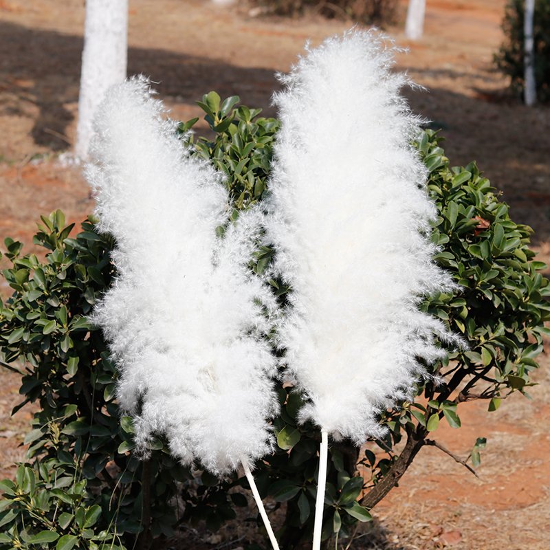 AX18 natural decorative flowers dried flower wedding supplies large pampas grass wedding decoration