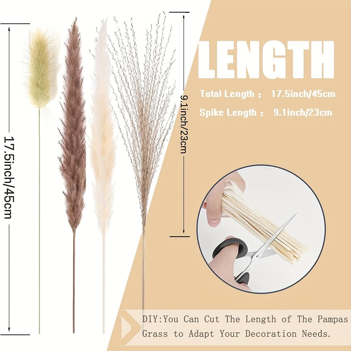 Wedding Decor Natural Dried Pampas Grass Dried Flower Grey Pampas Grass Dried Pampas Grass