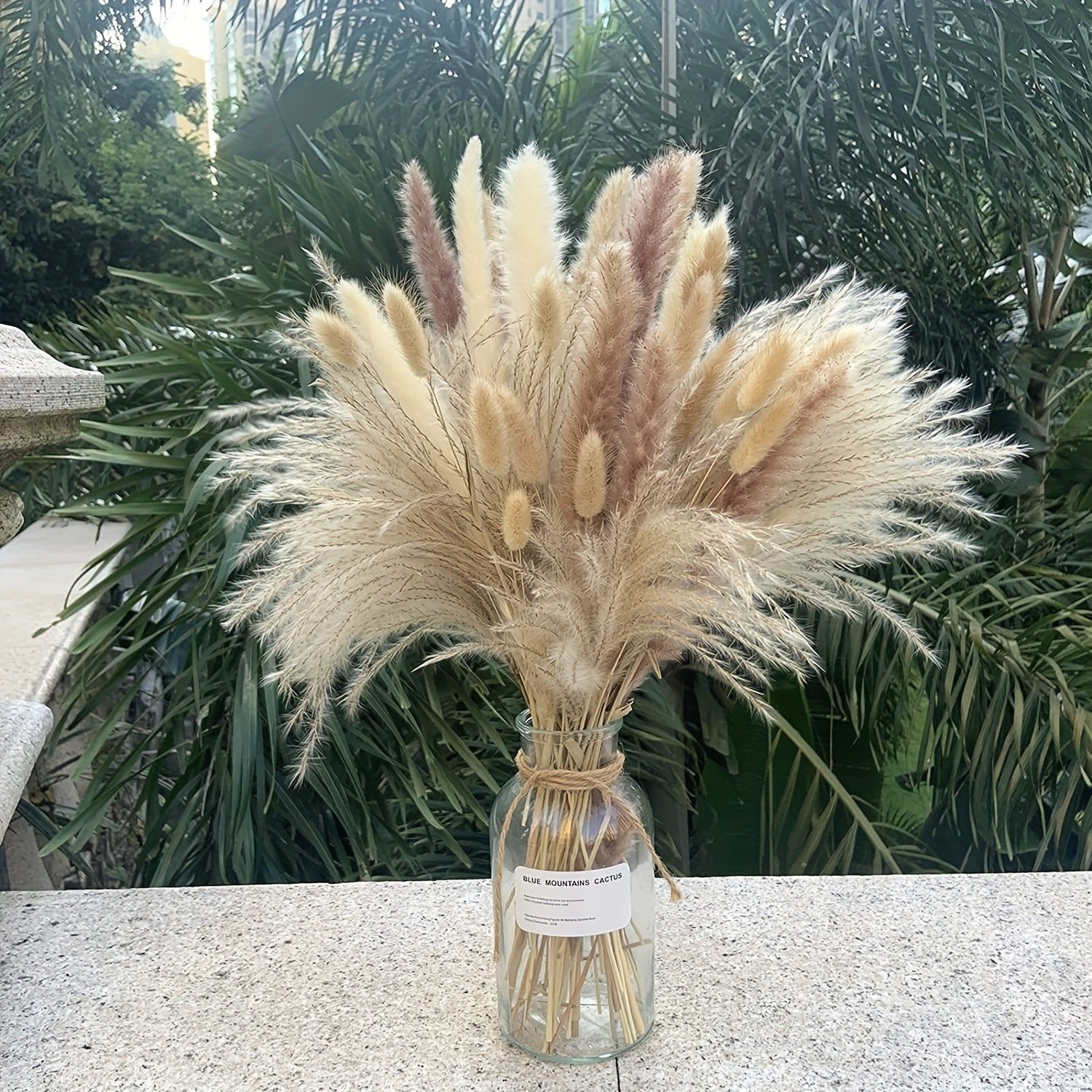 Wedding Decor Natural Dried Pampas Grass Dried Flower Grey Pampas Grass Dried Pampas Grass