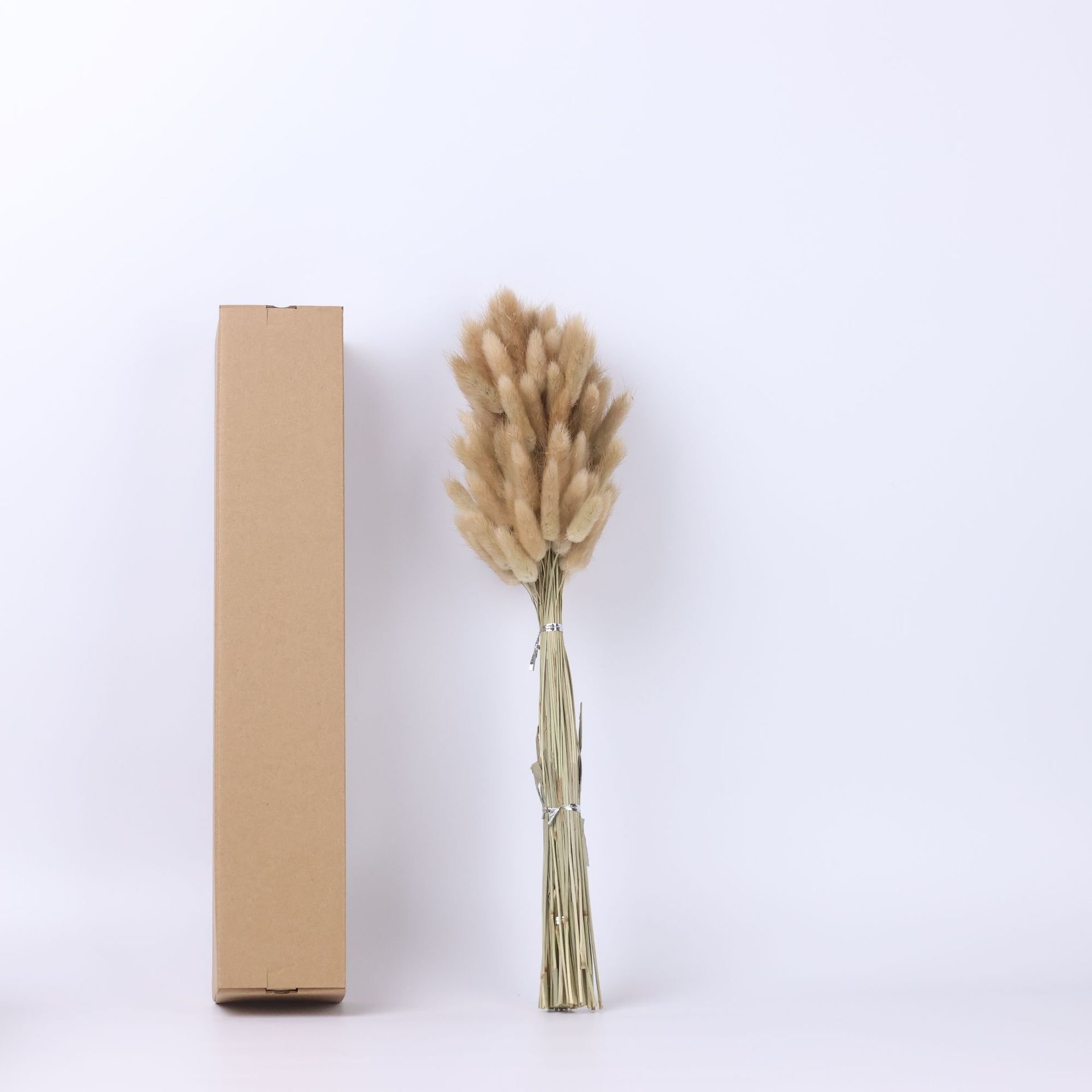 Wedding Decor Natural Dried Pampas Grass Dried Flower Grey Pampas Grass Dried Pampas Grass